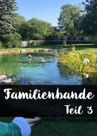 Familienbande, Teil 3, ein Nickelsdorf-Krimi von Norbert Falb.