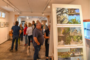 Fotoausstellung "Die Vogelwelt der Leithaauen"