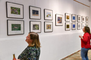 Fotoausstellung "Die Vogelwelt der Leithaauen"