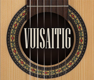Akustik-Coverband VUISAITIG